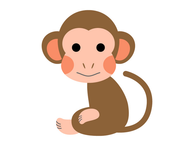 animal_cute_monkey_15536.jpg